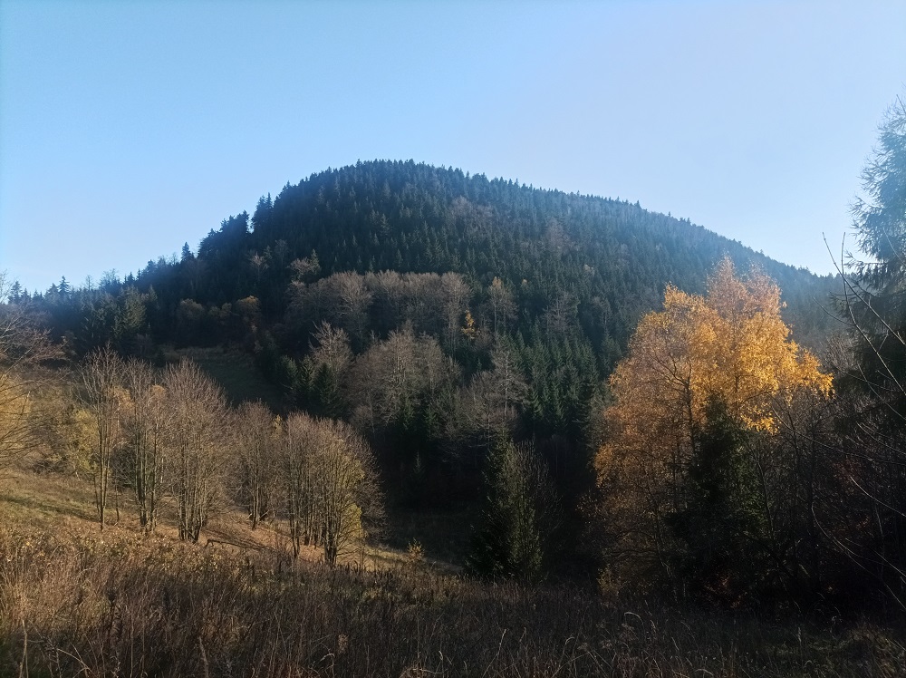 Masyw Waligóry wraz ze szczytem widziany ze szlaku czerwonego prowadzącego w Góry Kamienne, Bukowiec